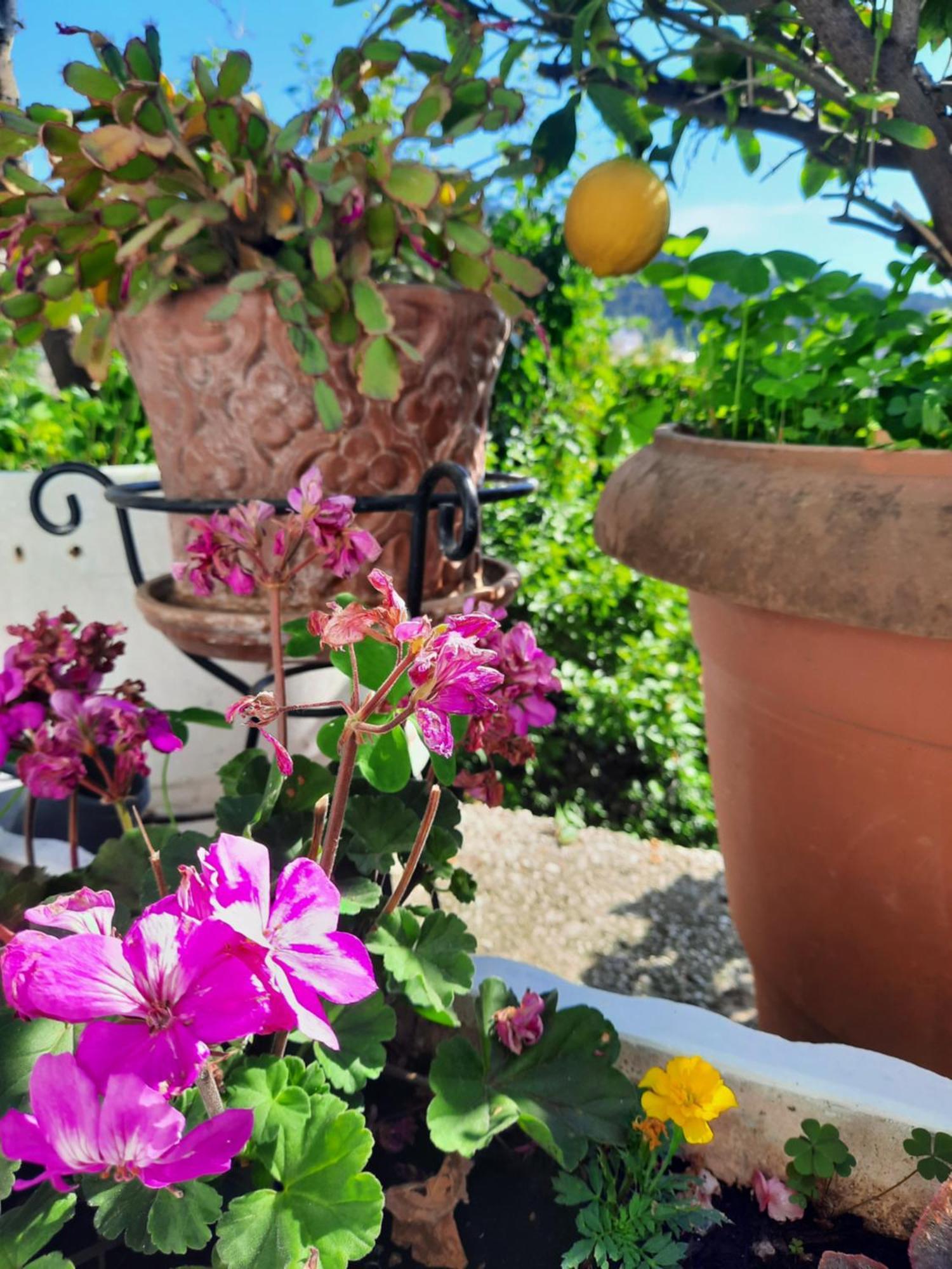Villa Vasilis Garden House Kavala Exterior foto